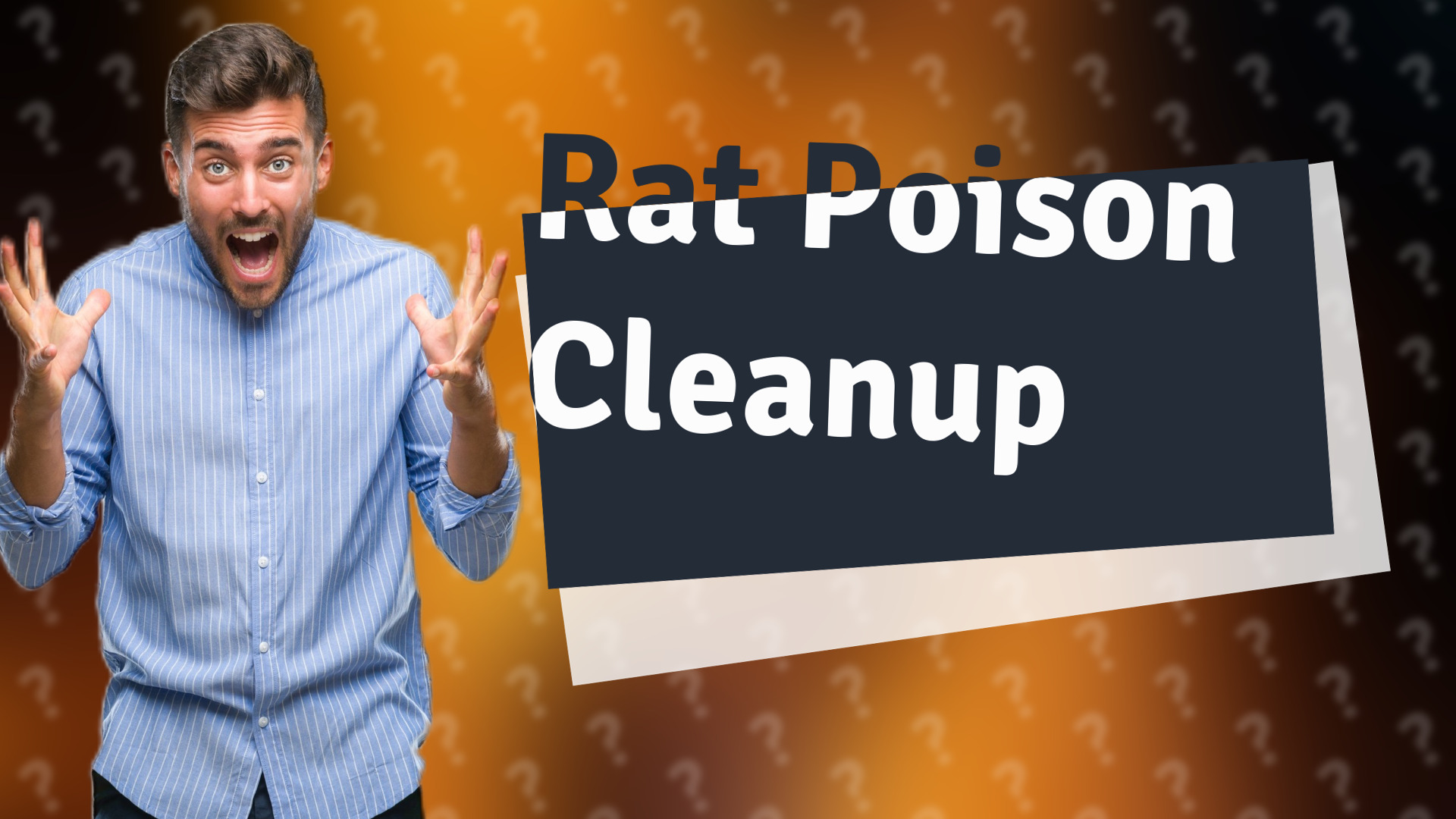 Rat Poison Cleanup