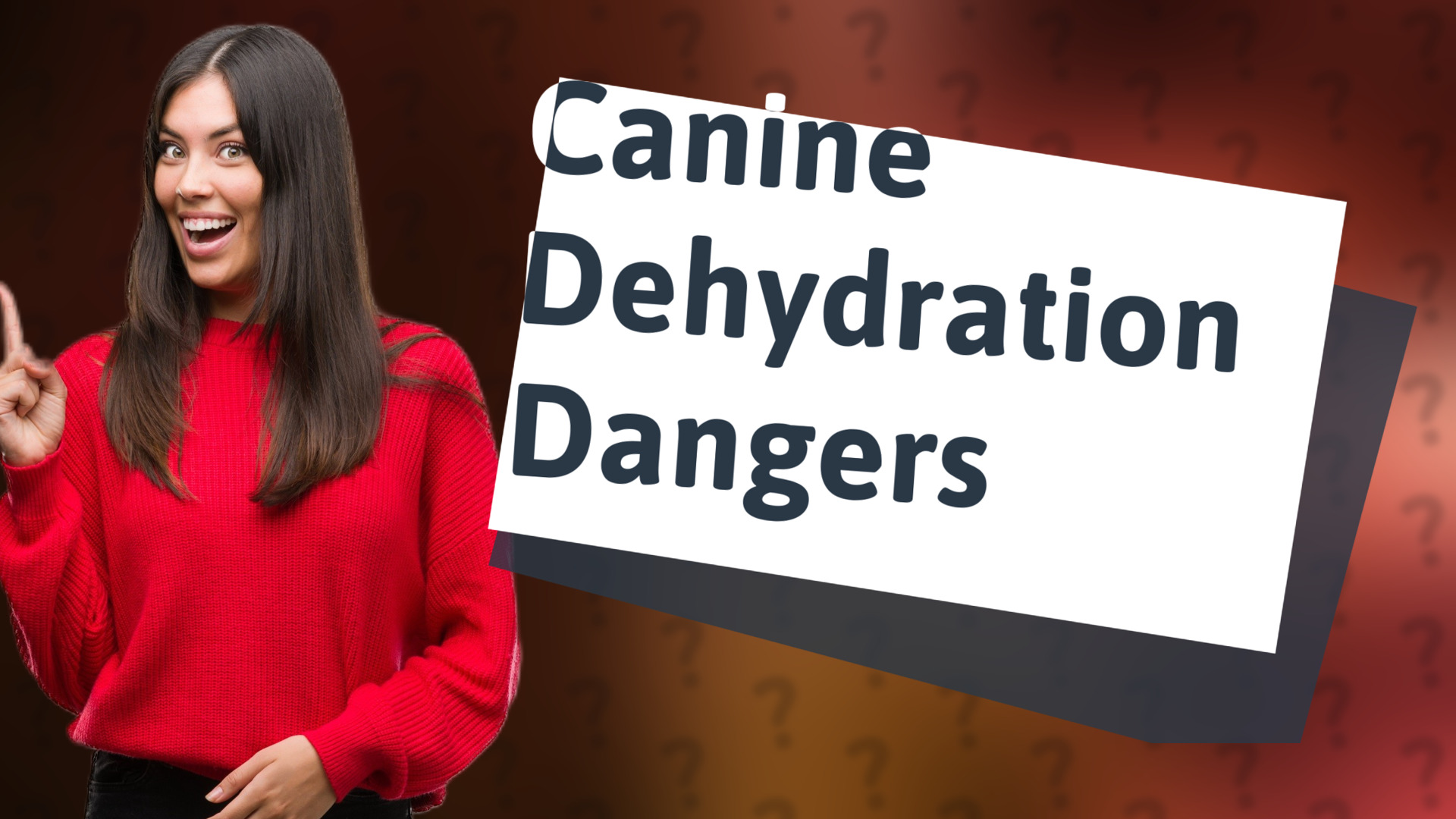 Canine Dehydration Dangers