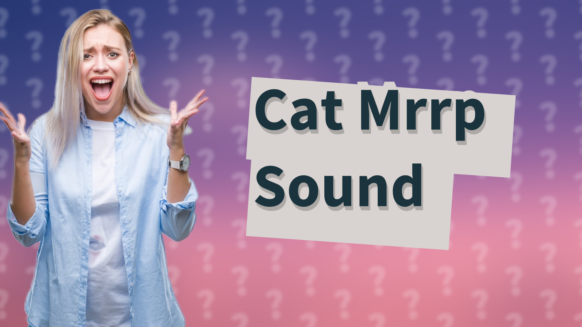Cat Mrrp Sound