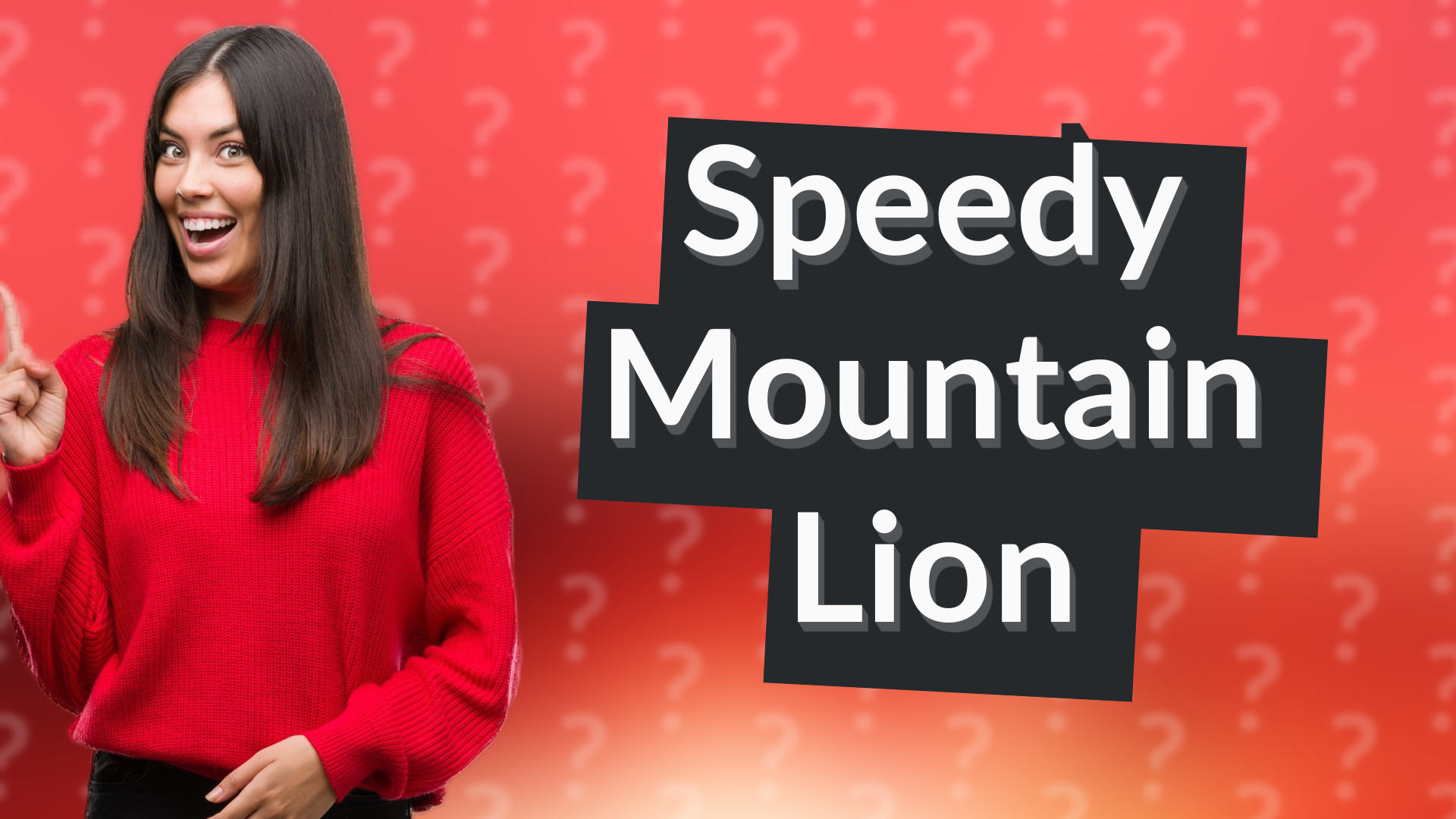 Speedy Mountain Lion