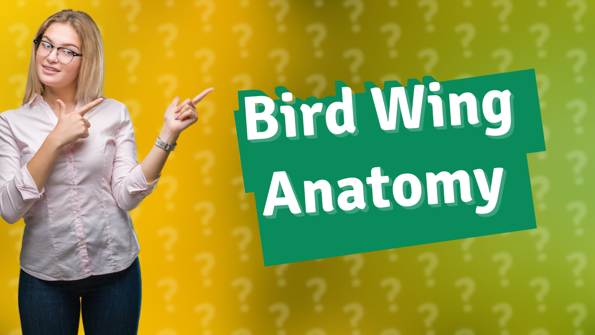 Bird Wing Anatomy
