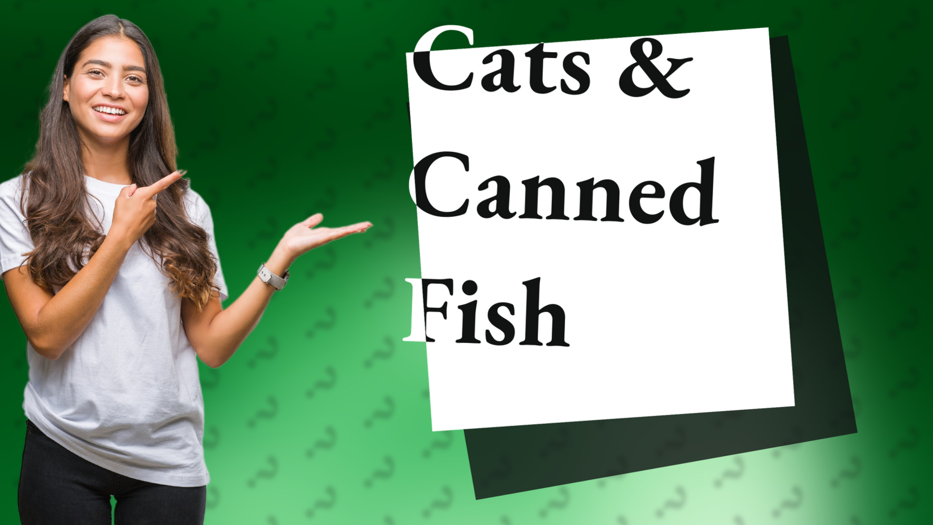 Cats & Canned Fish