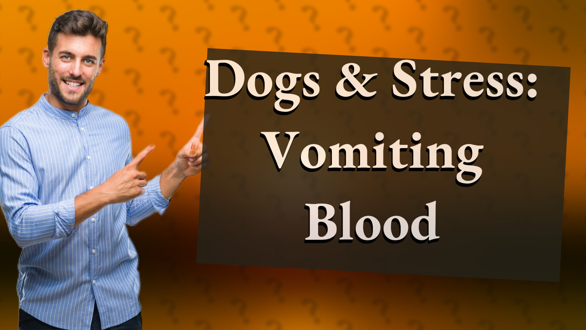 Dogs & Stress: Vomiting Blood