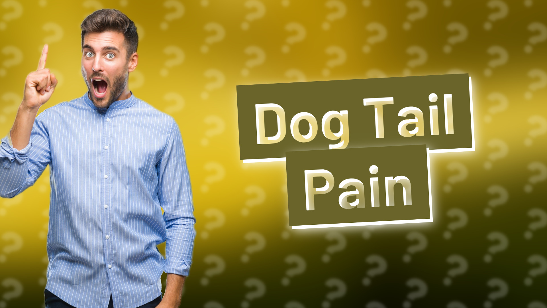 Dog Tail Pain