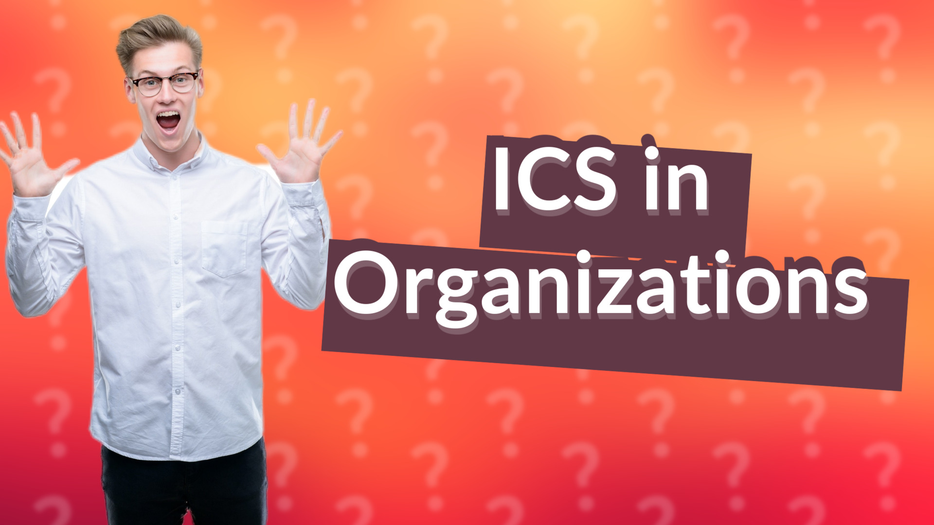 ICS in Organizations