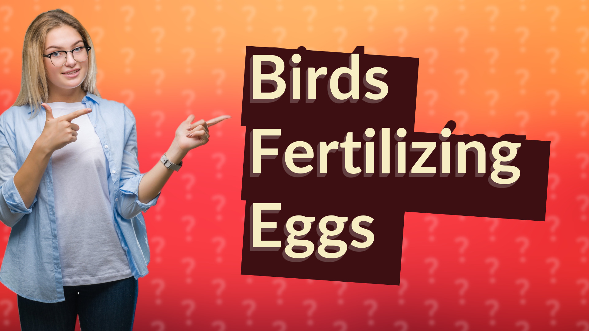 Birds Fertilizing Eggs