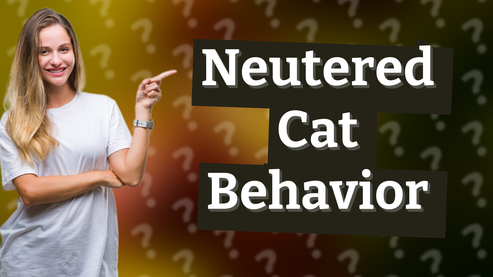 Neutered Cat Behavior