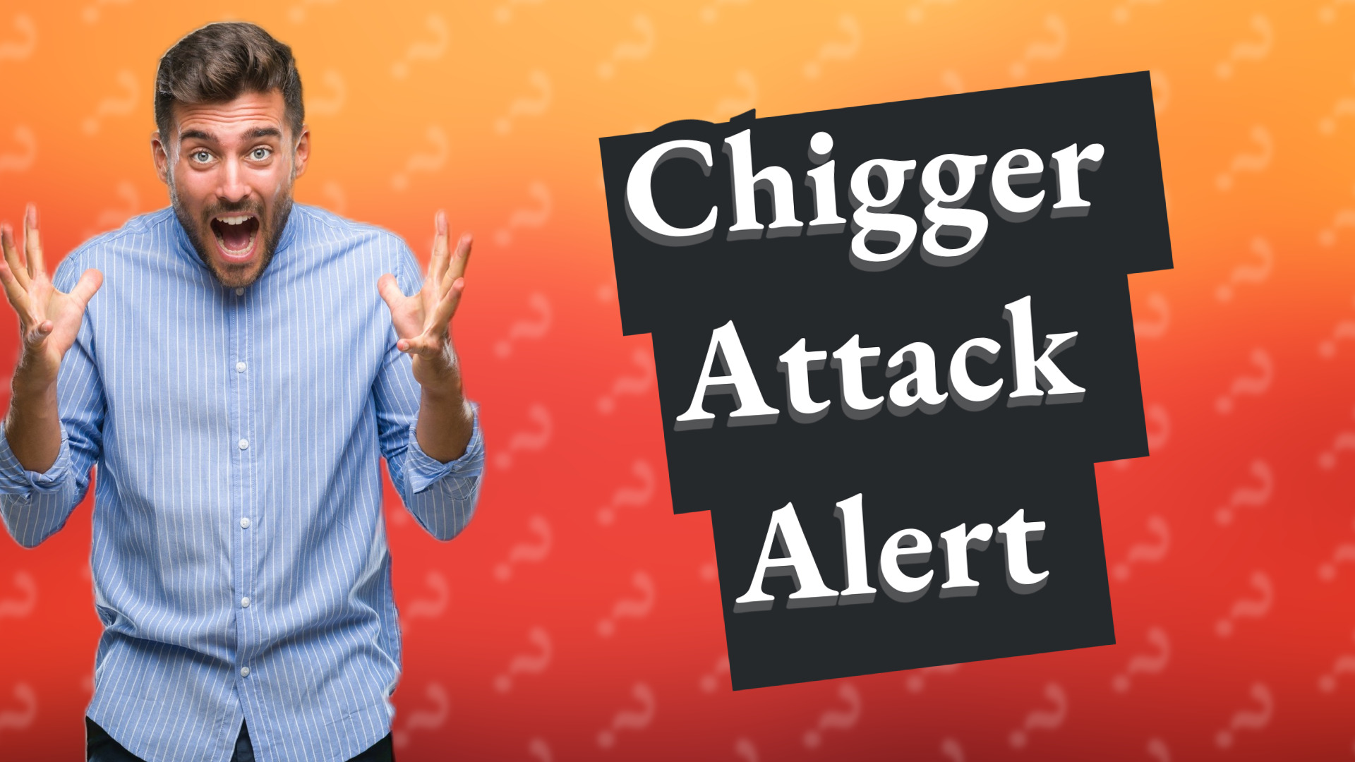 Chigger Attack Alert