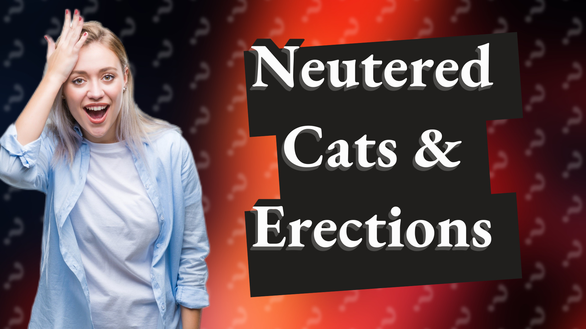 Neutered Cats & Erections