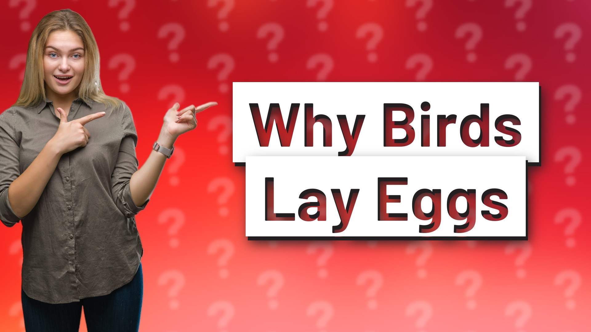 Why Birds Lay Eggs