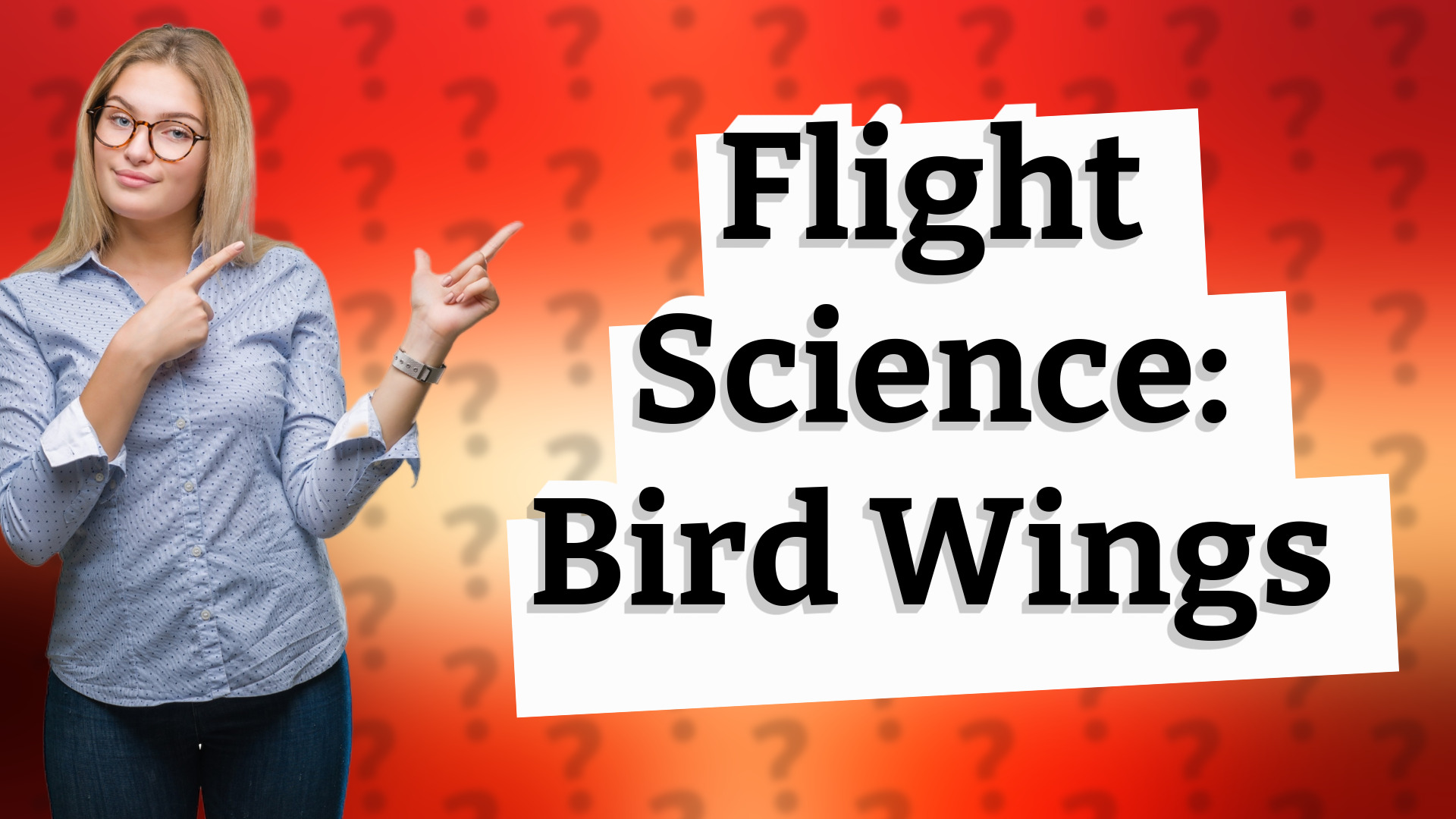 Flight Science: Bird Wings