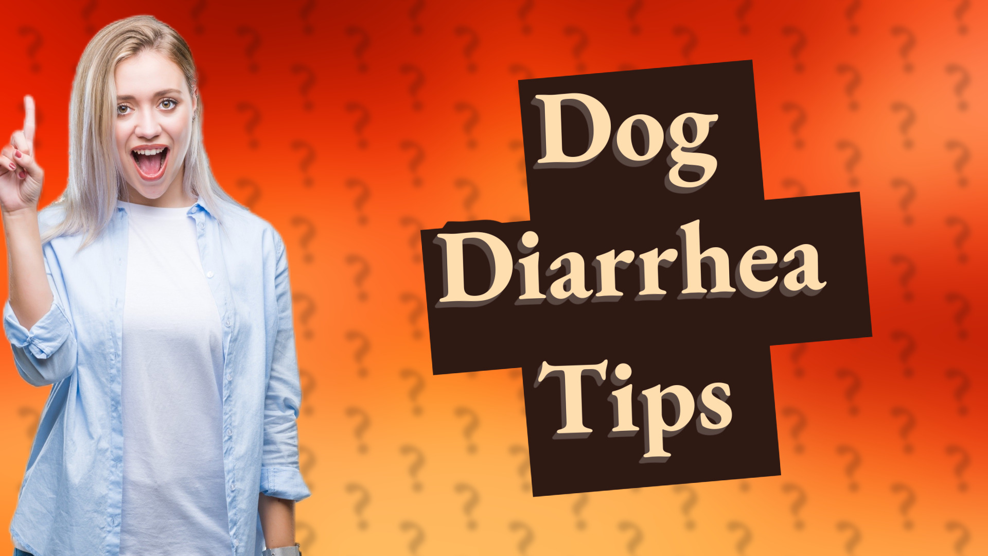 Dog Diarrhea Tips