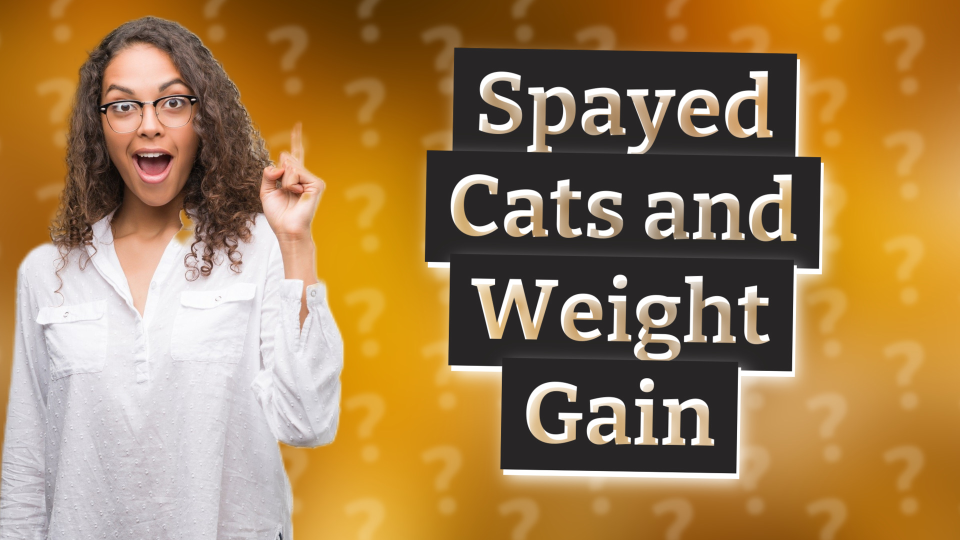 Spayed Cats and Weight Gain