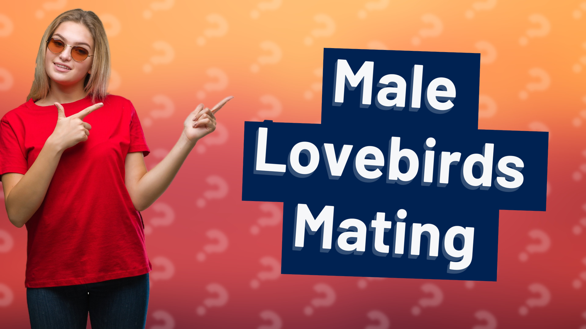 Male Lovebirds Mating