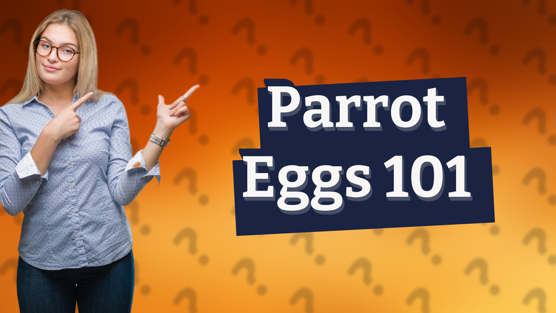 Parrot Eggs 101