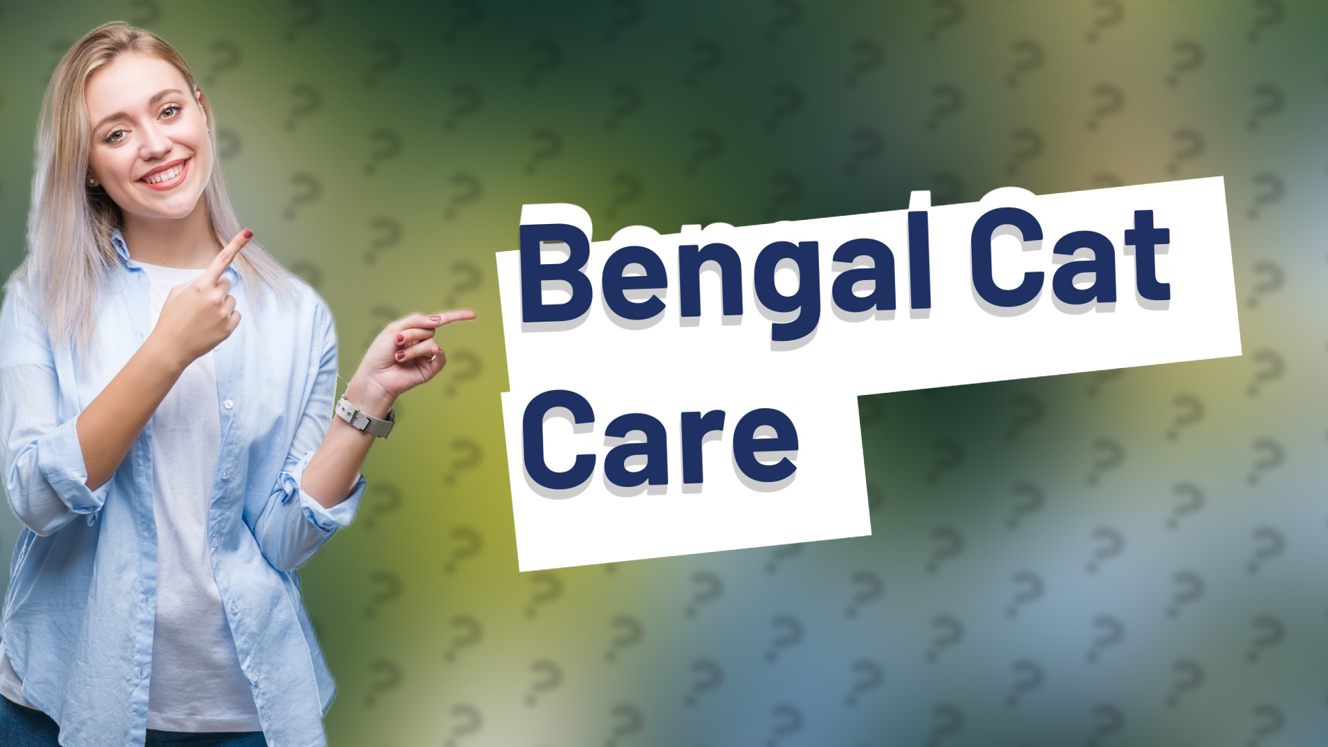 Bengal Cat Care