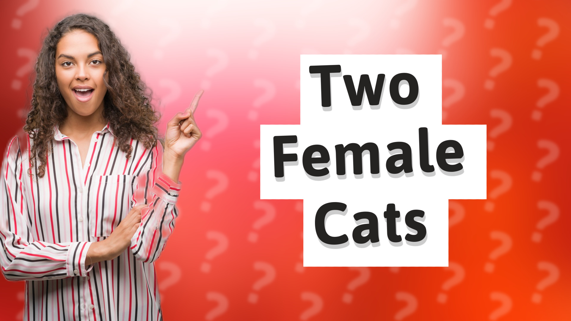 Two Female Cats