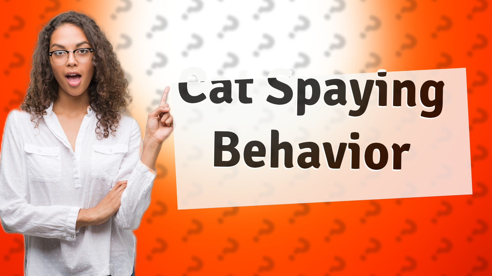 Cat Spaying Behavior