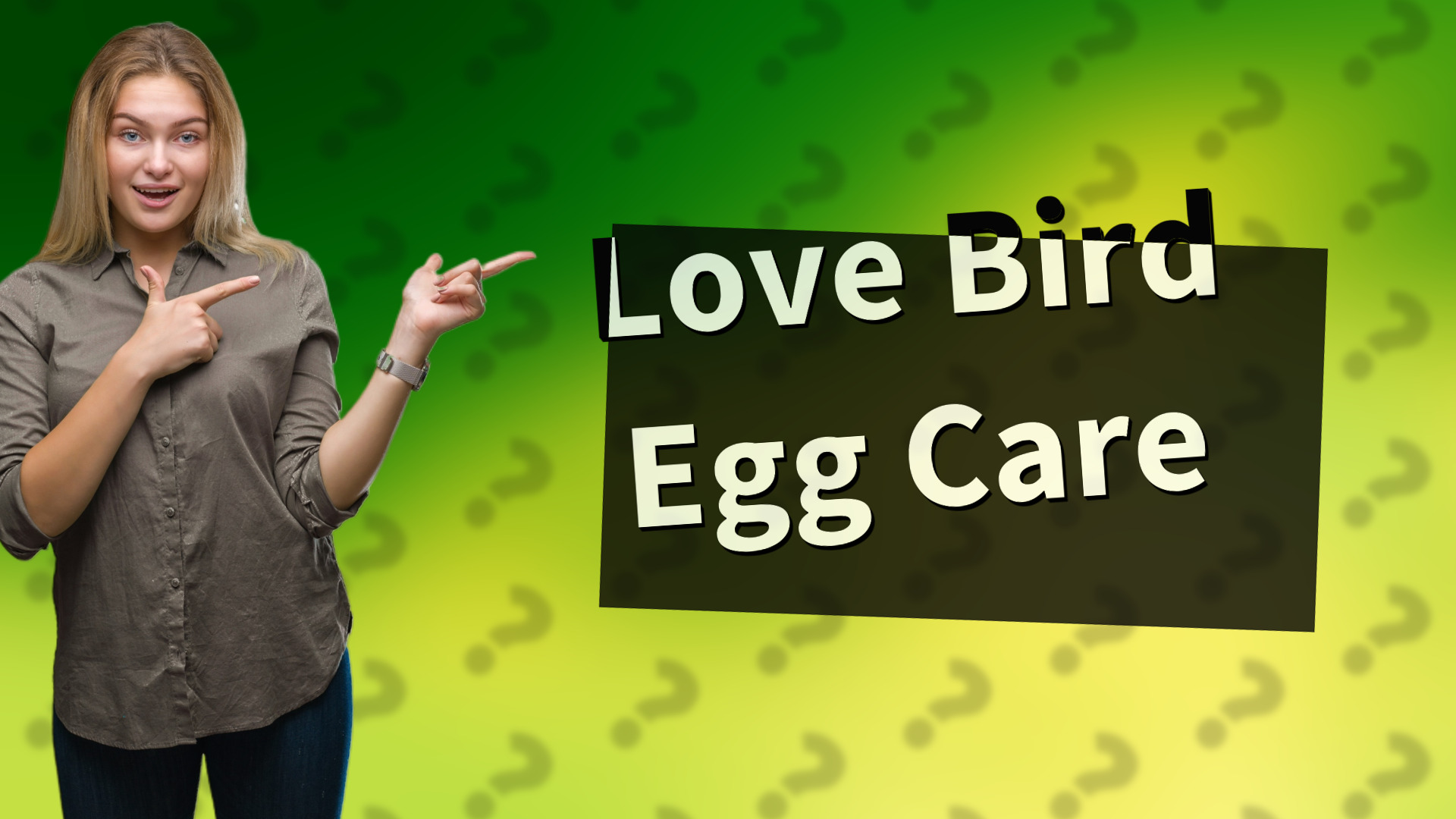 Love Bird Egg Care