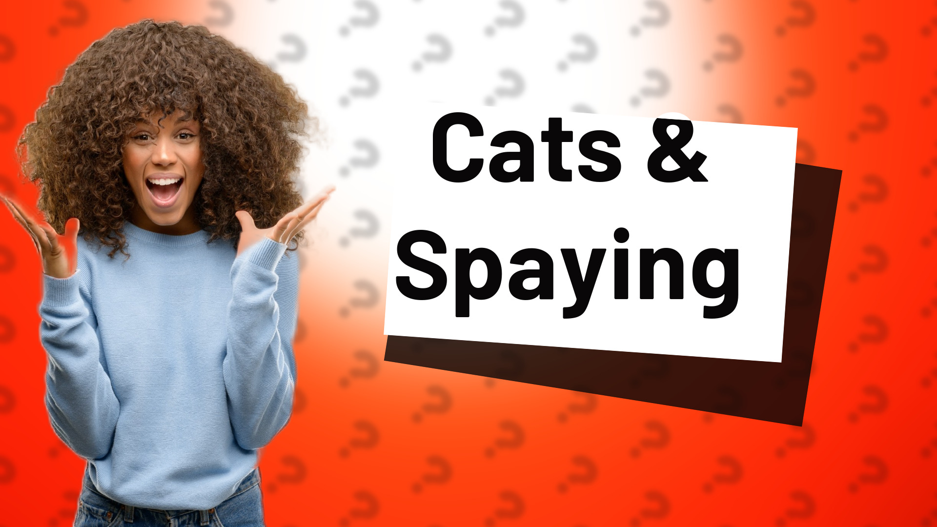 Cats & Spaying