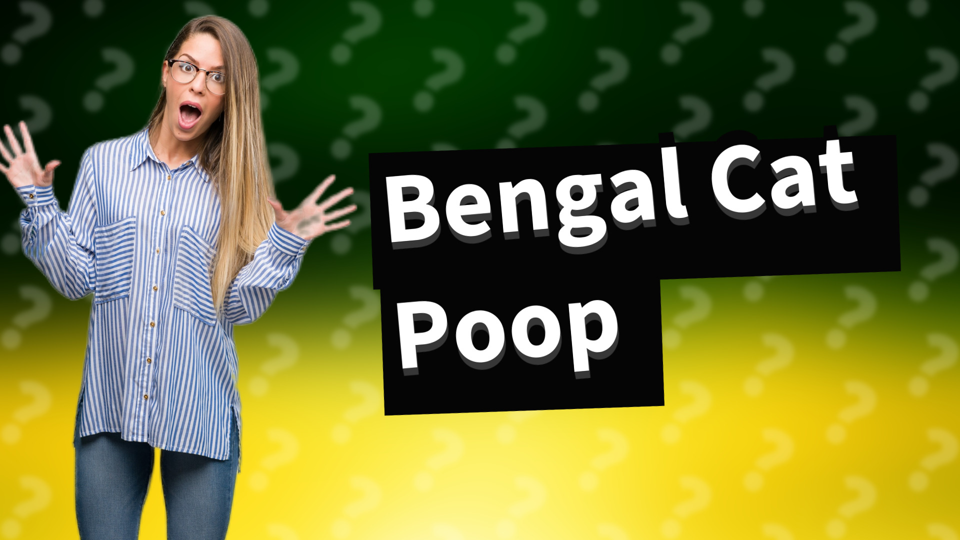 Bengal Cat Poop