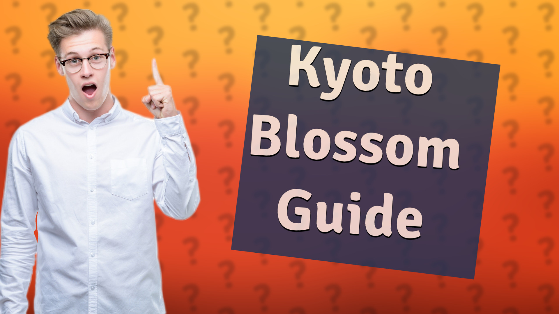 Kyoto Blossom Guide