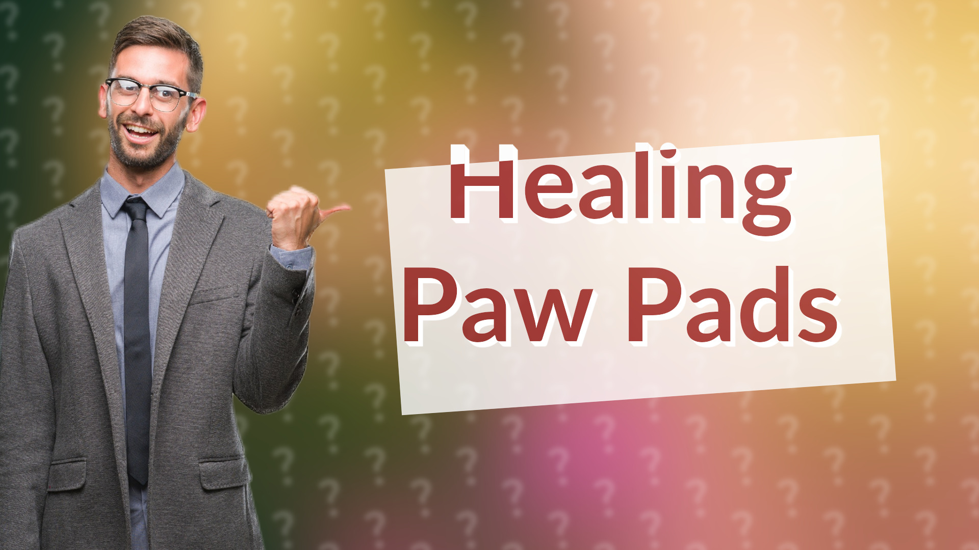 Healing Paw Pads