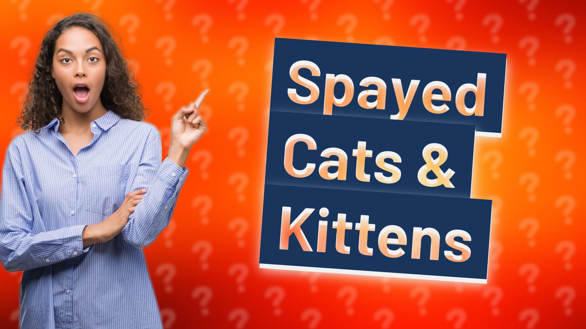 Spayed Cats & Kittens