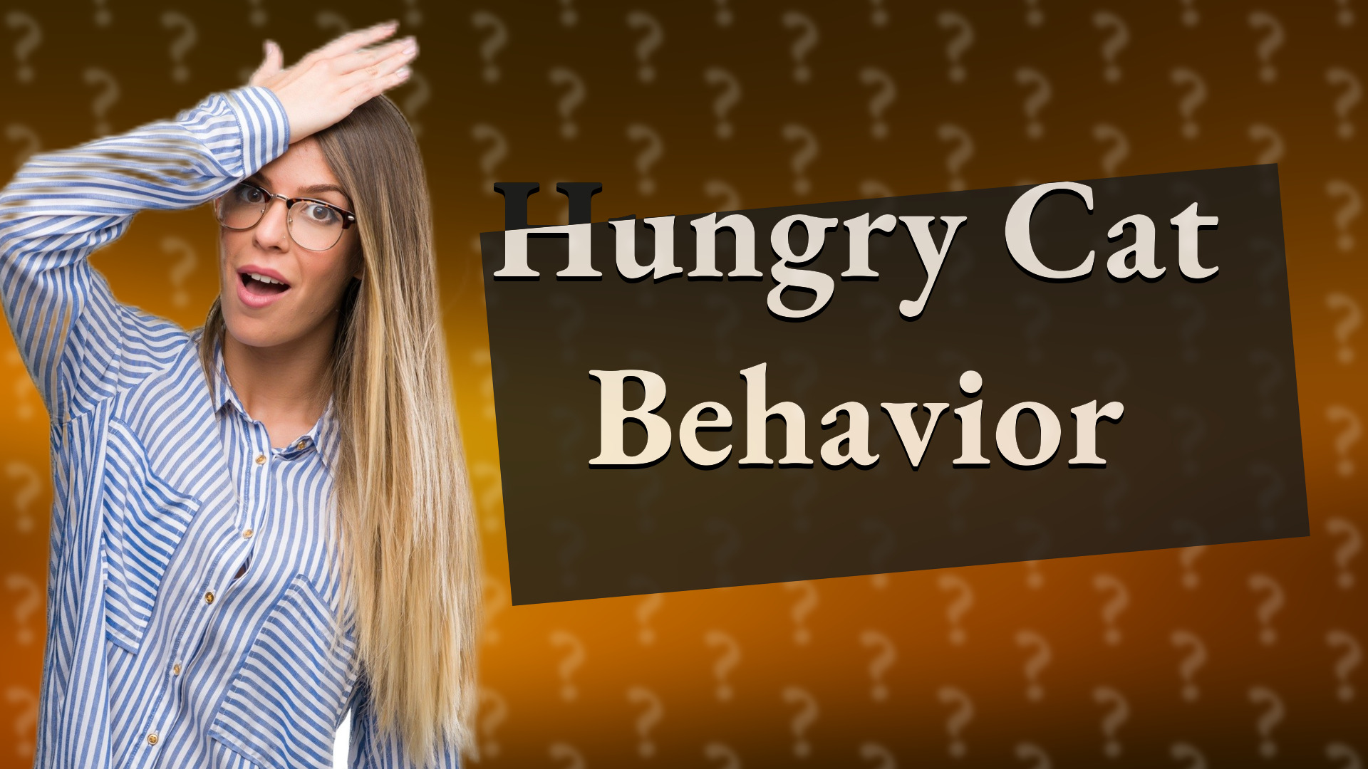 Hungry Cat Behavior