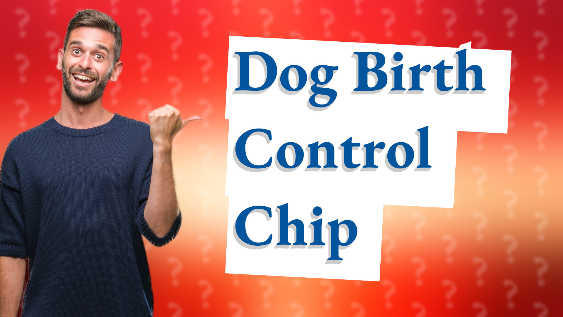 Dog Birth Control Chip