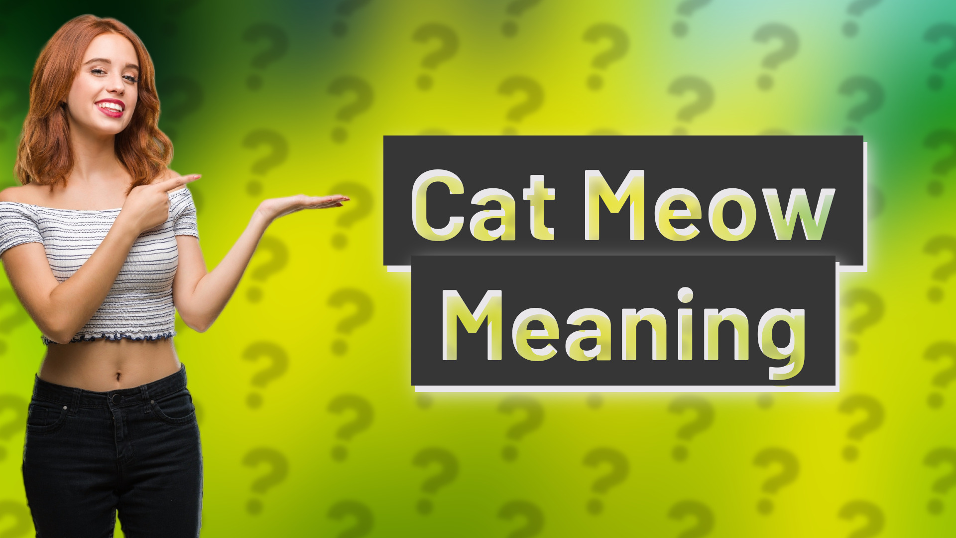 Cat Meow Meaning