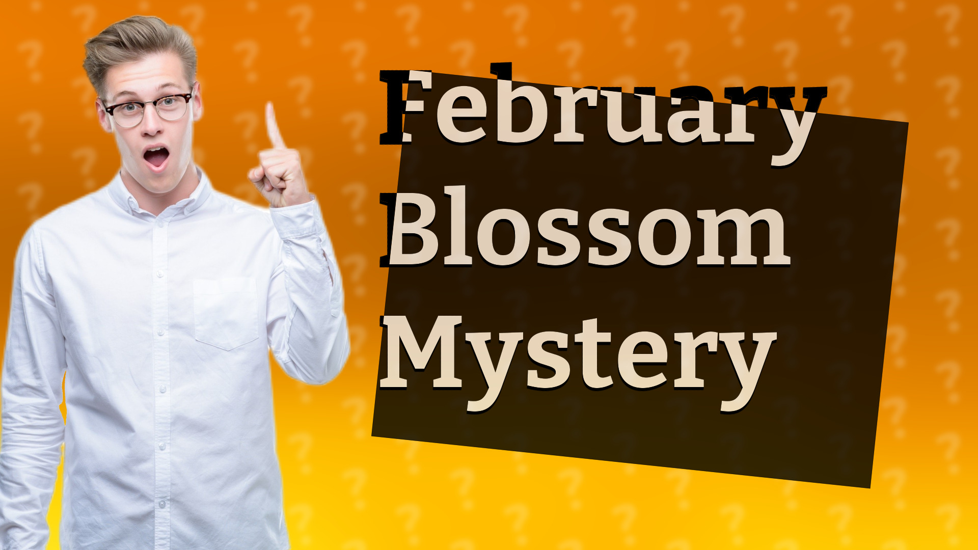 February Blossom Mystery