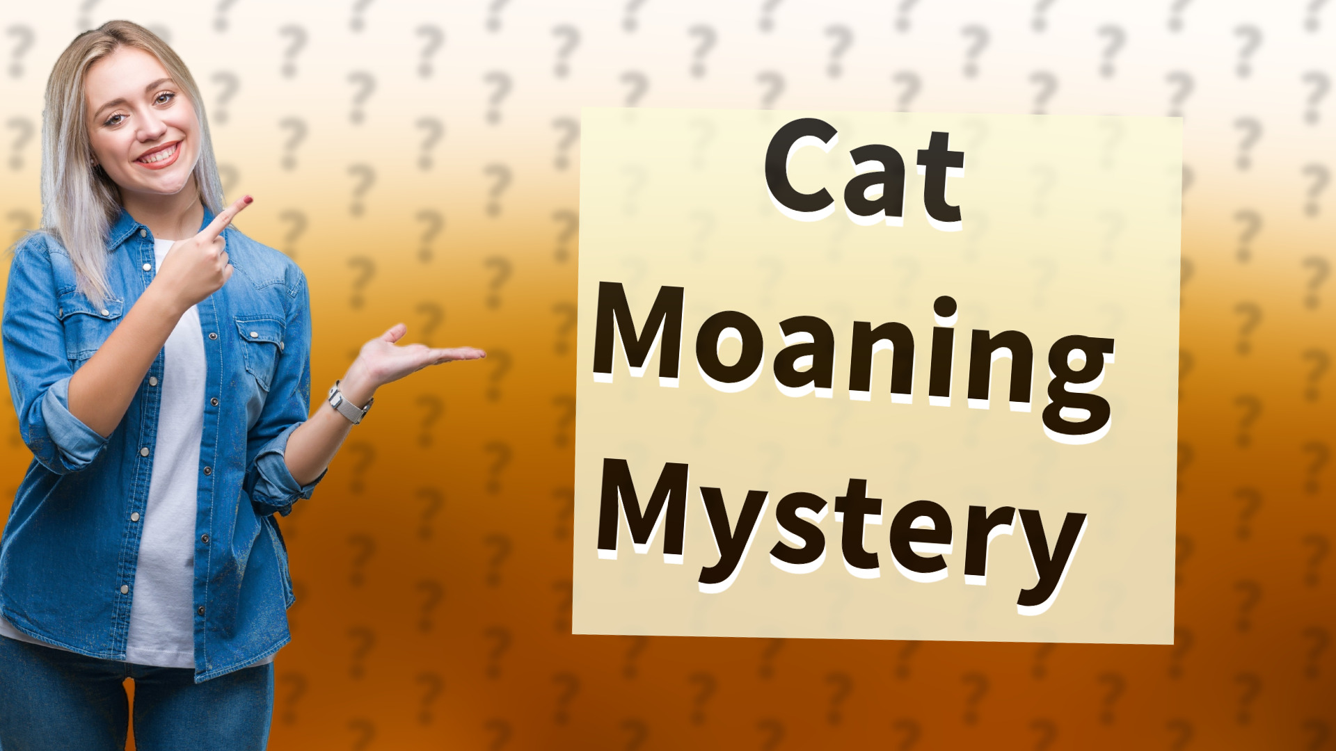 Cat Moaning Mystery