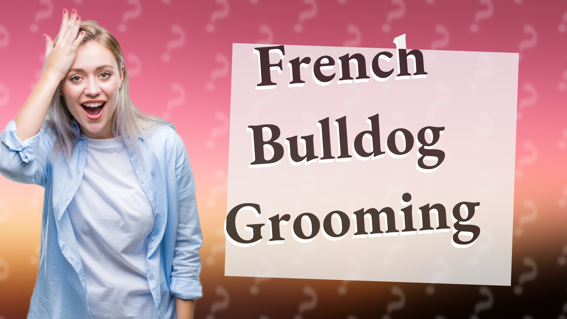 French Bulldog Grooming