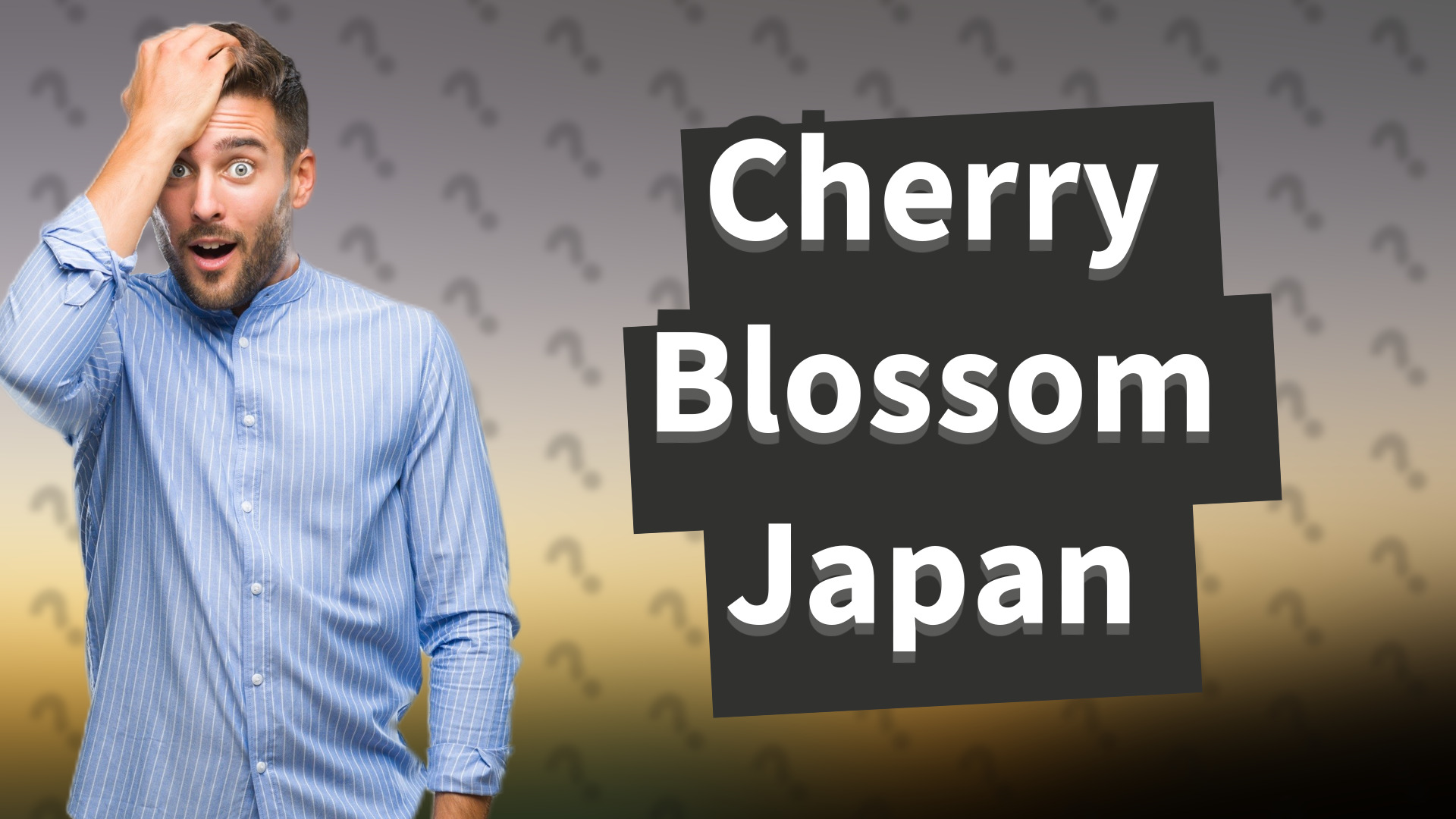 Cherry Blossom Japan