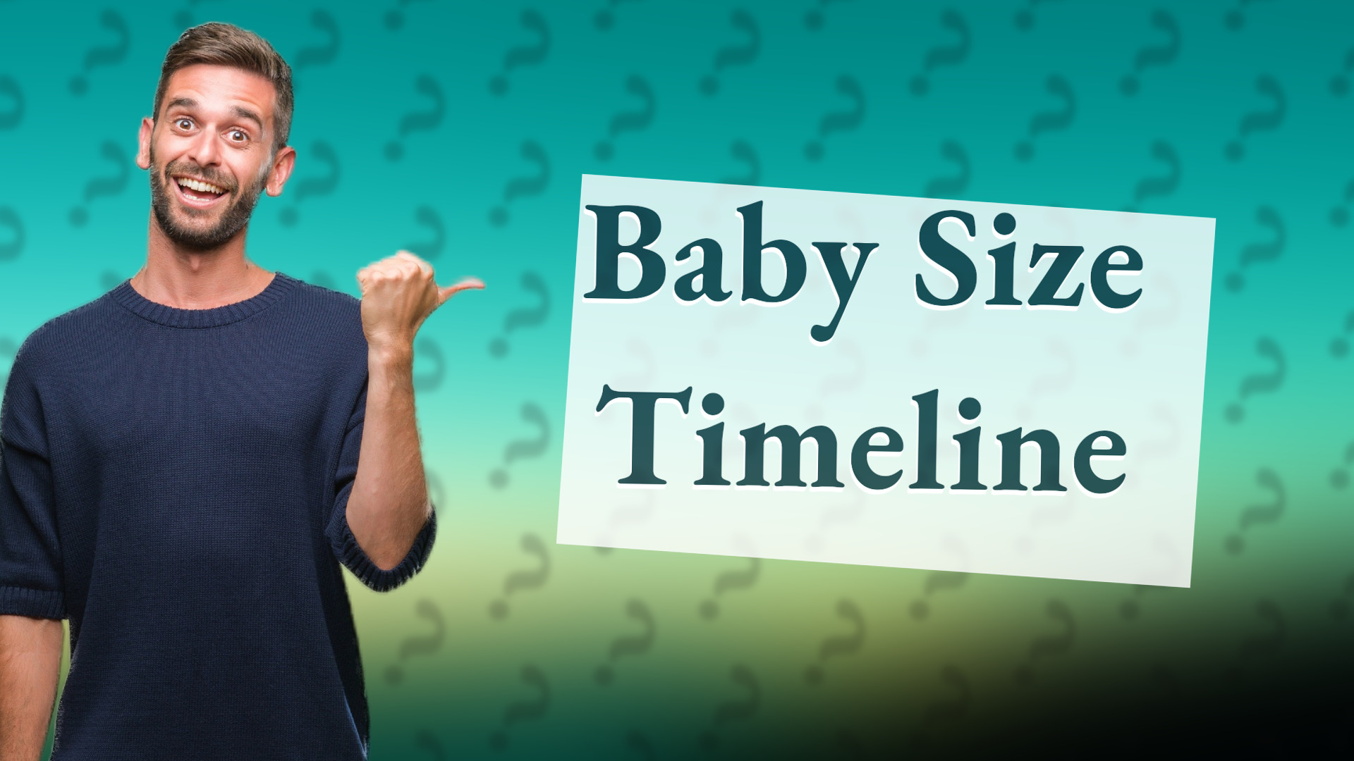 Baby Size Timeline
