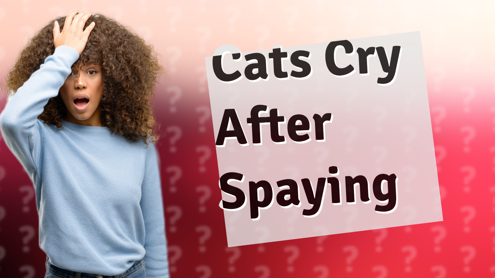 Cats Cry After Spaying