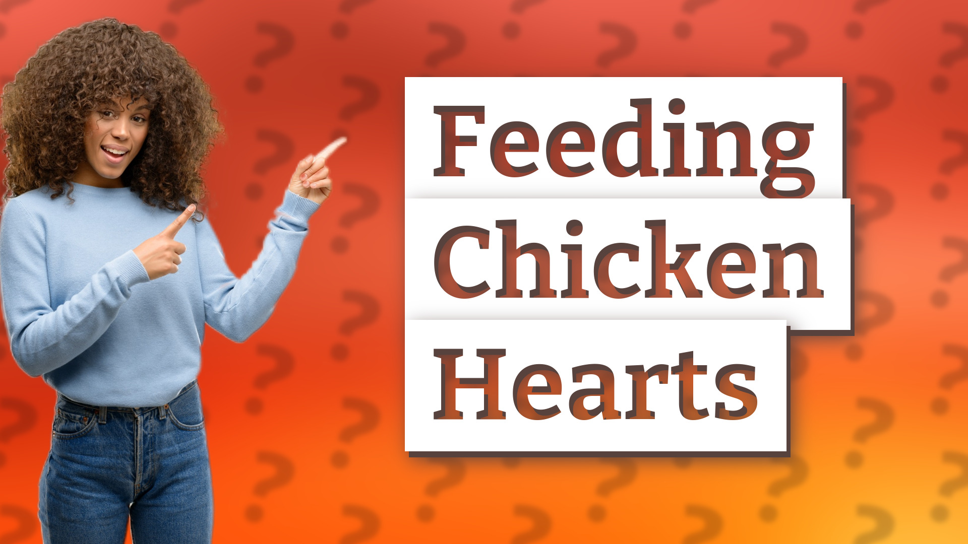 Feeding Chicken Hearts