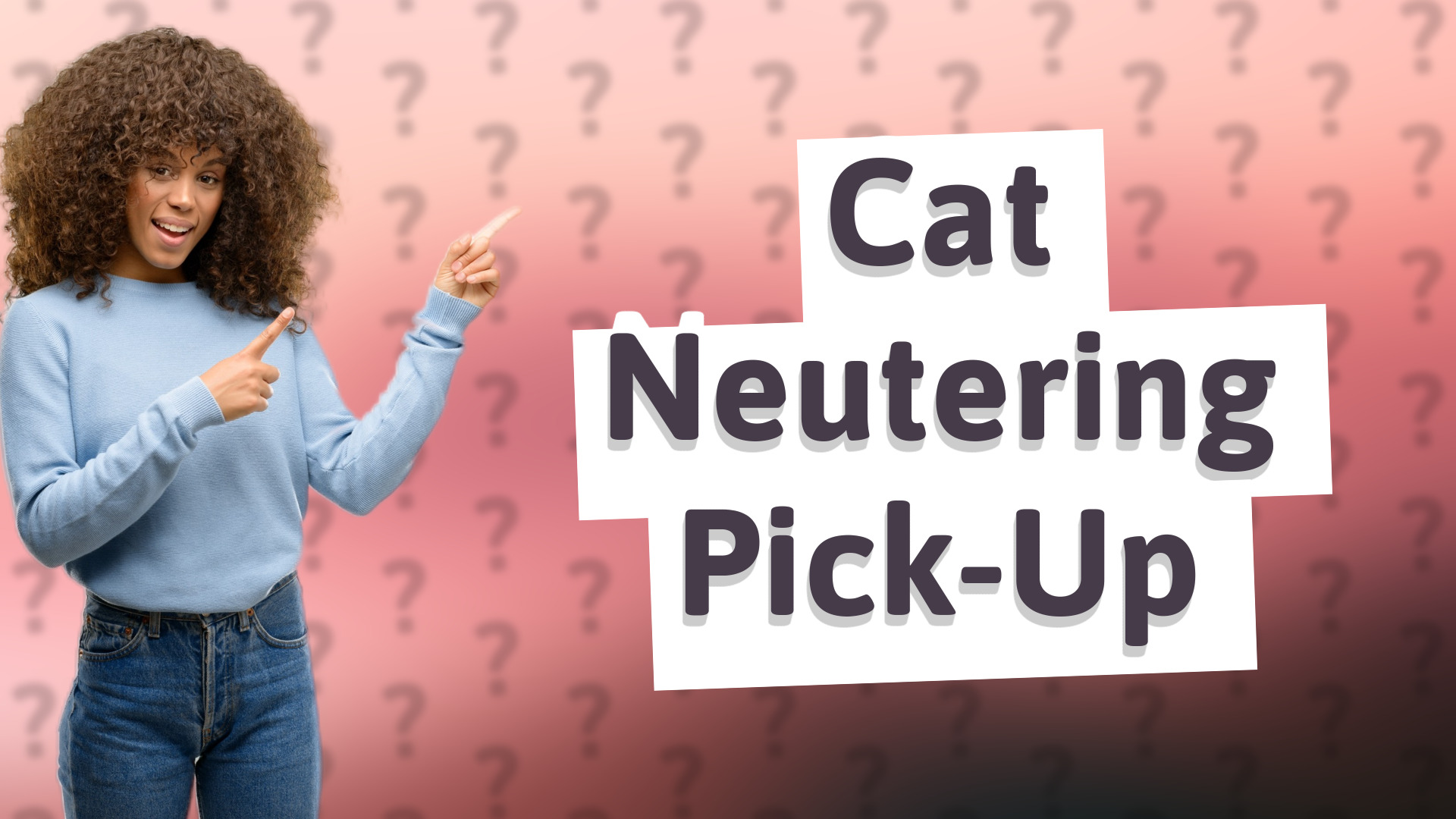 Cat Neutering Pick-Up