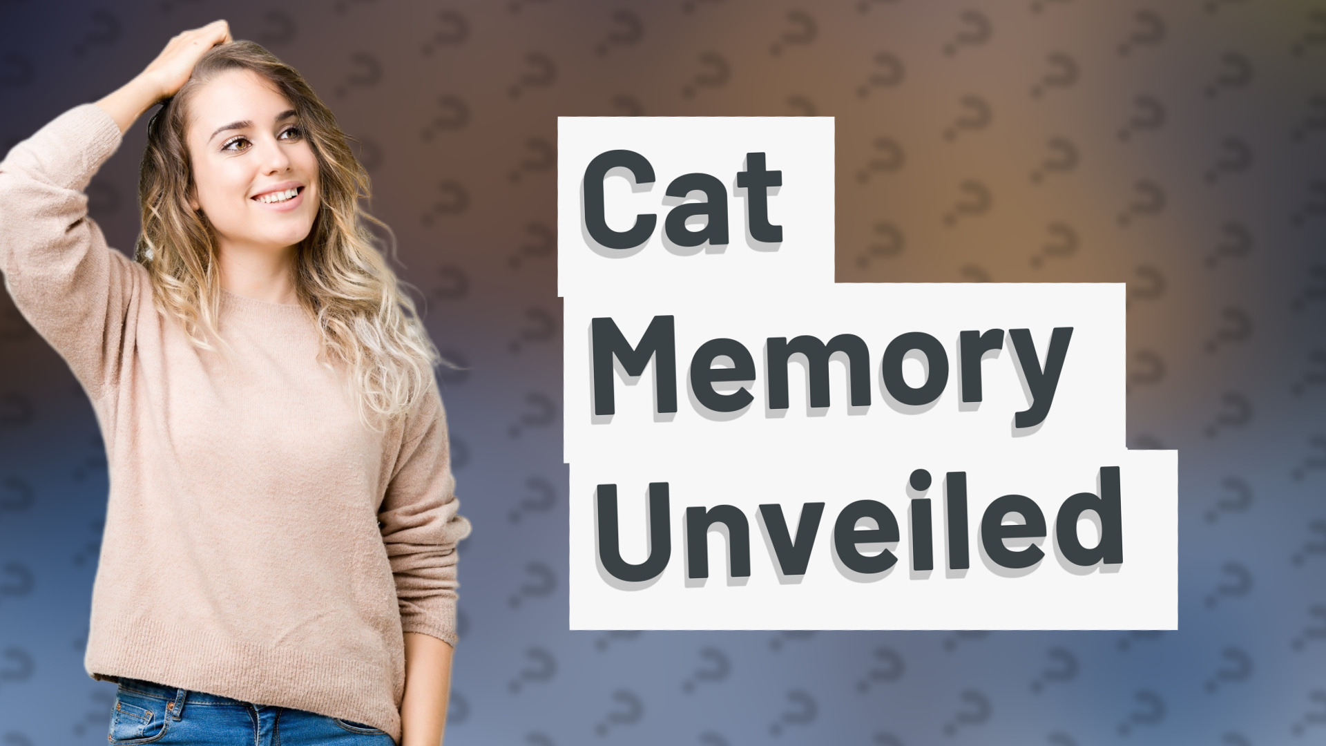 Cat Memory Unveiled