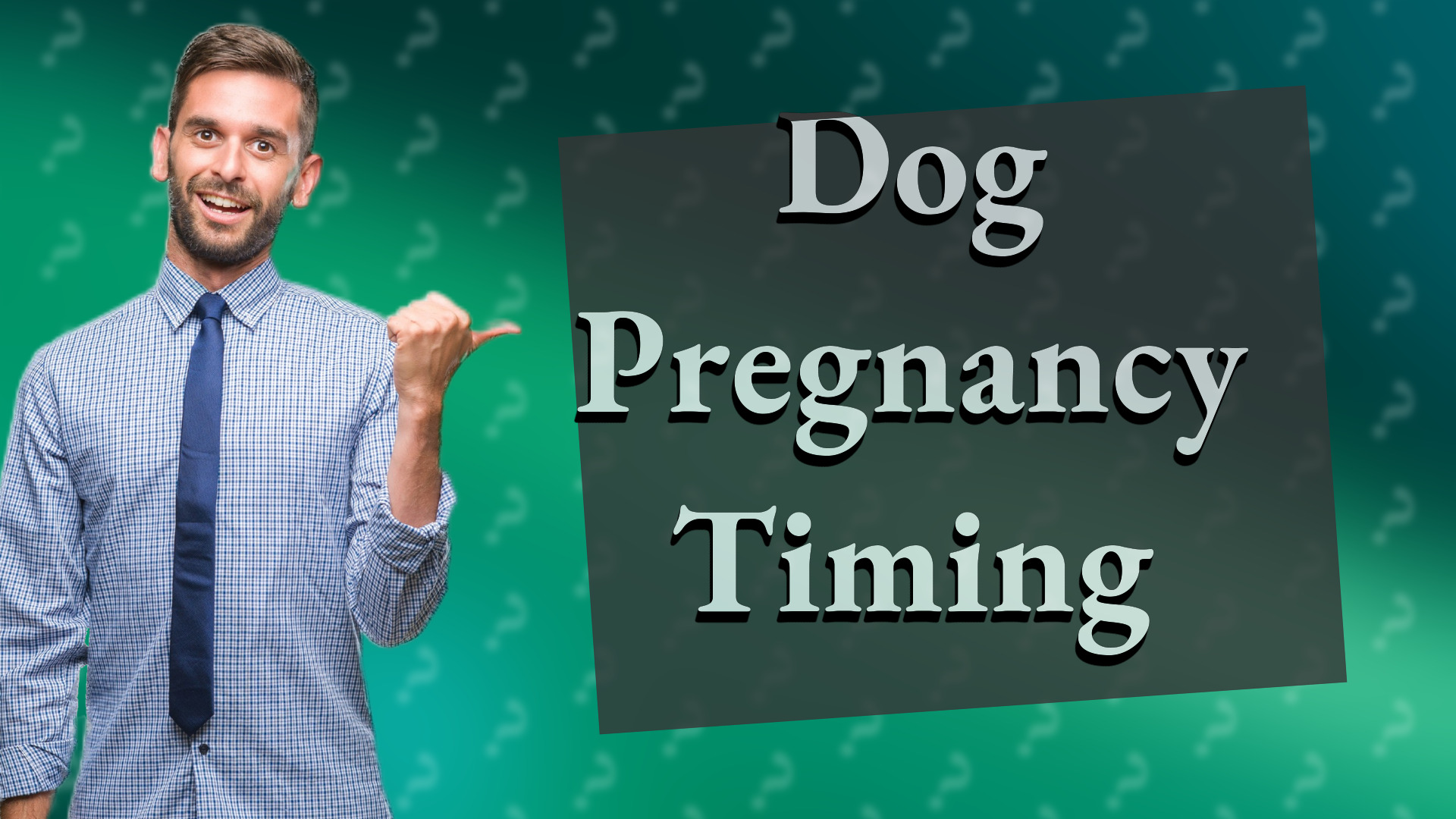 Dog Pregnancy Timing