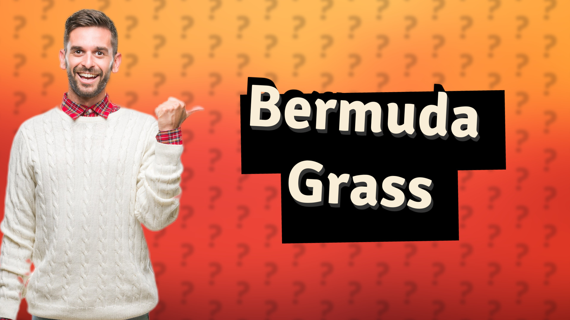Bermuda Grass