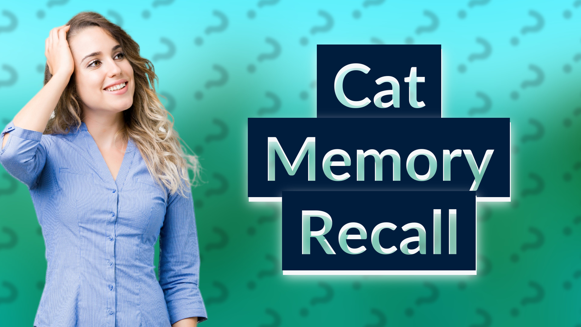 Cat Memory Recall