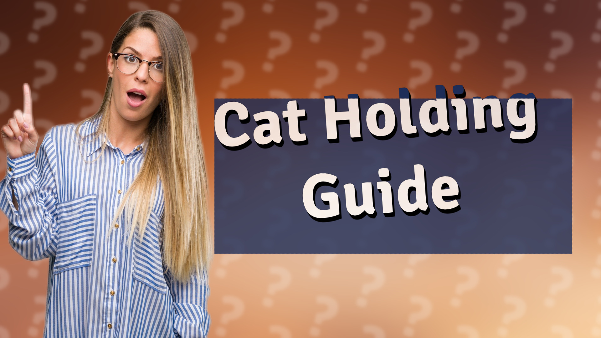 Cat Holding Guide