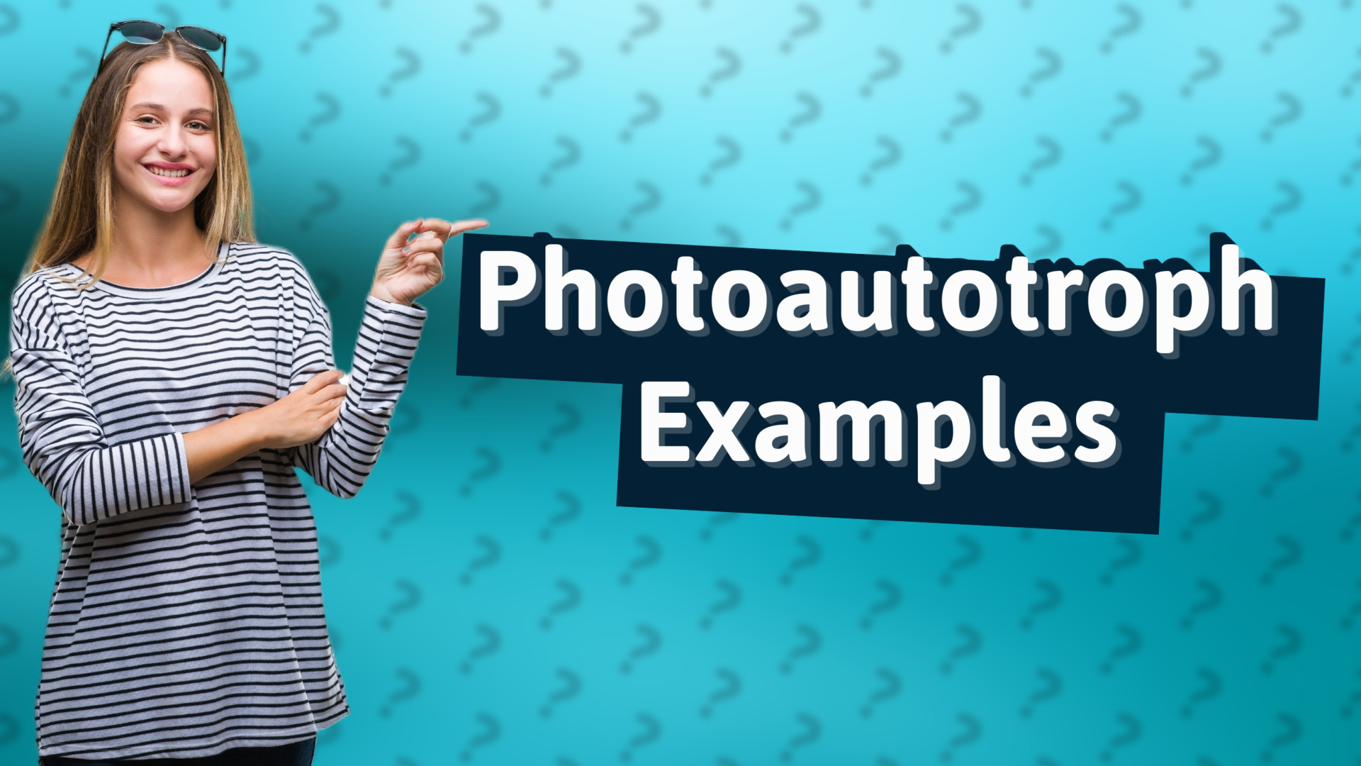 Photoautotroph Examples