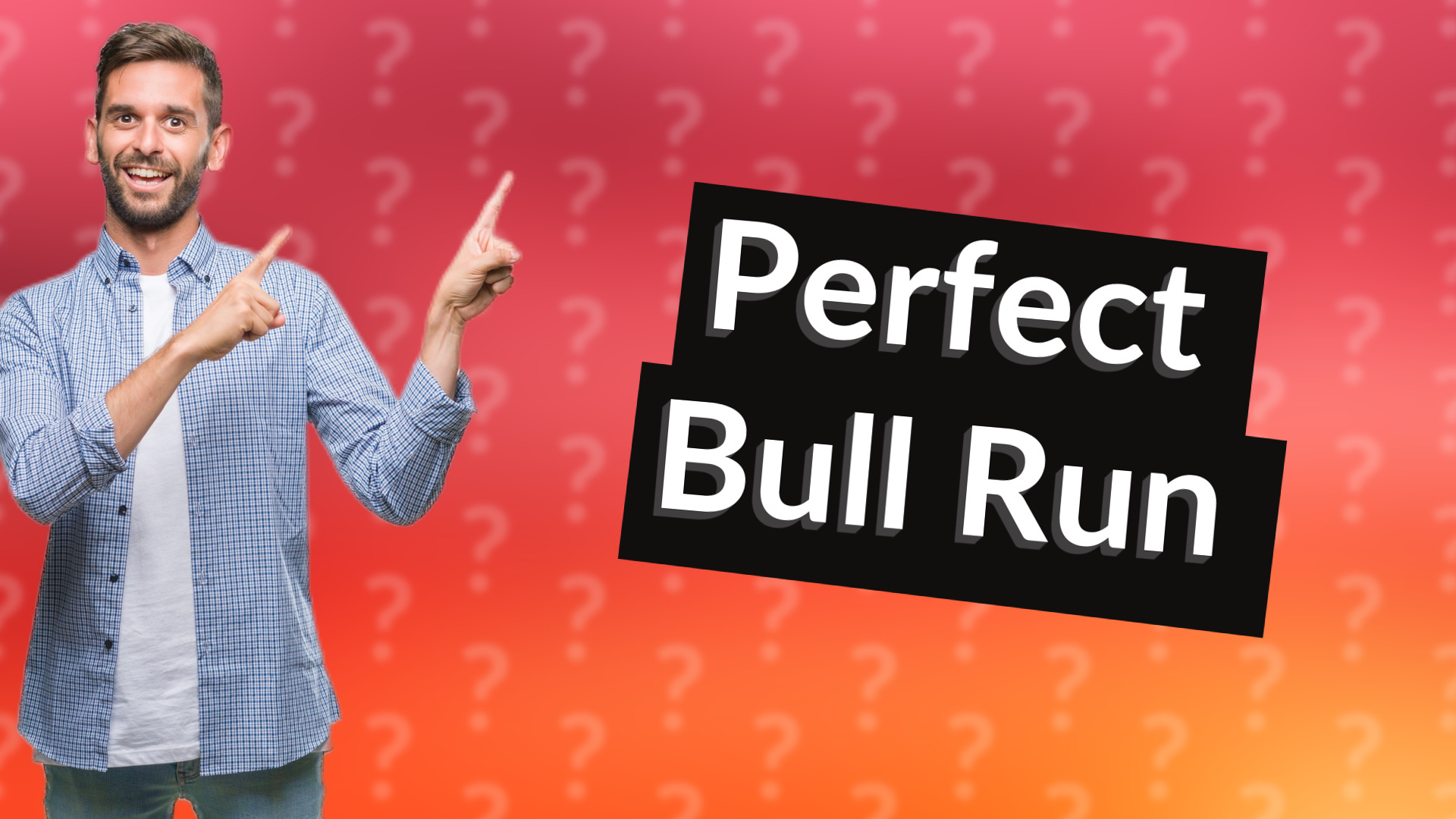 Perfect Bull Run