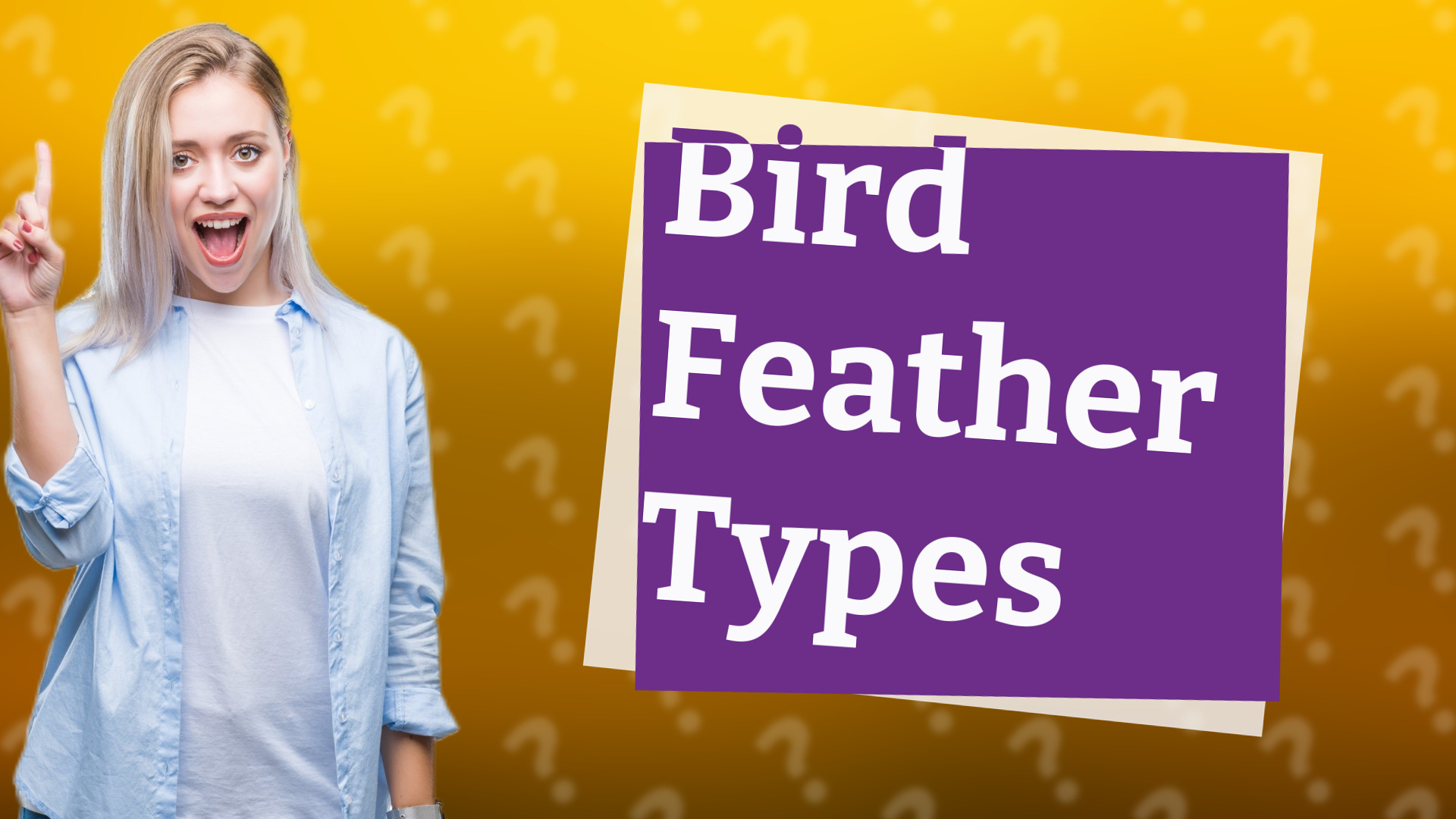 Bird Feather Types