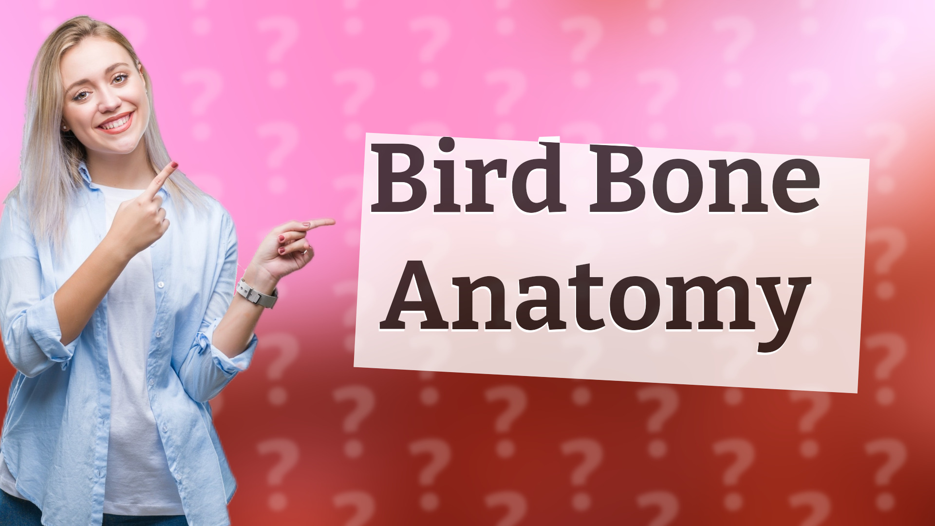 Bird Bone Anatomy