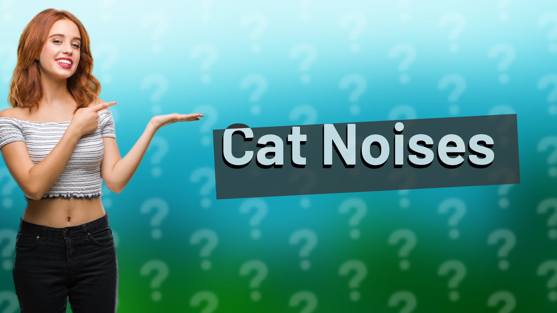 Cat Noises