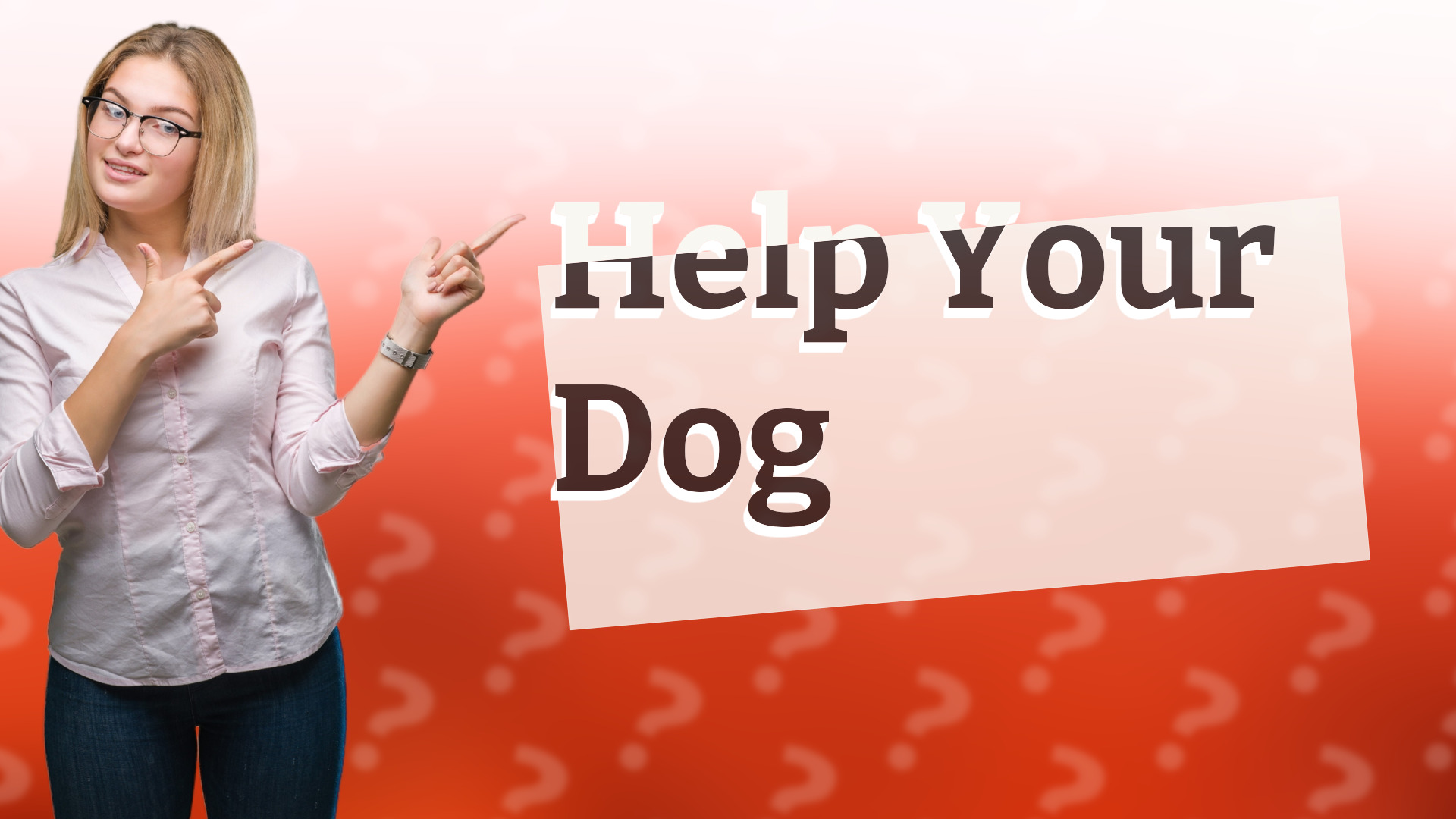 Help Your Dog